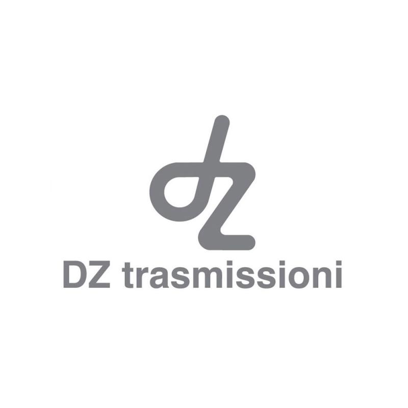 DZ Transmissioni