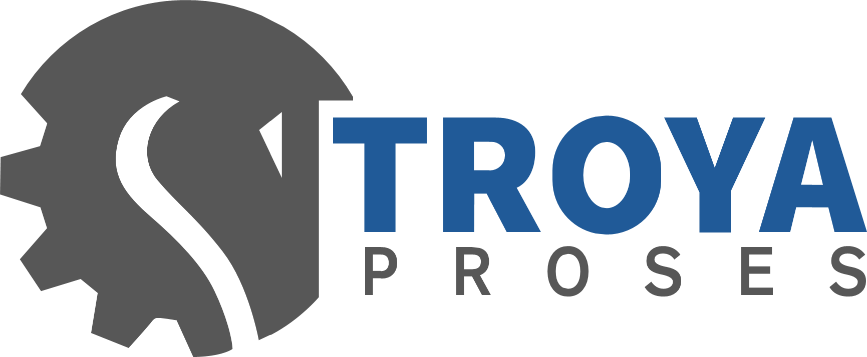 TROYA PROSES MAKİNA KİMYA MADEN TEKNOLOJİLERİ TİC. A.Ş.