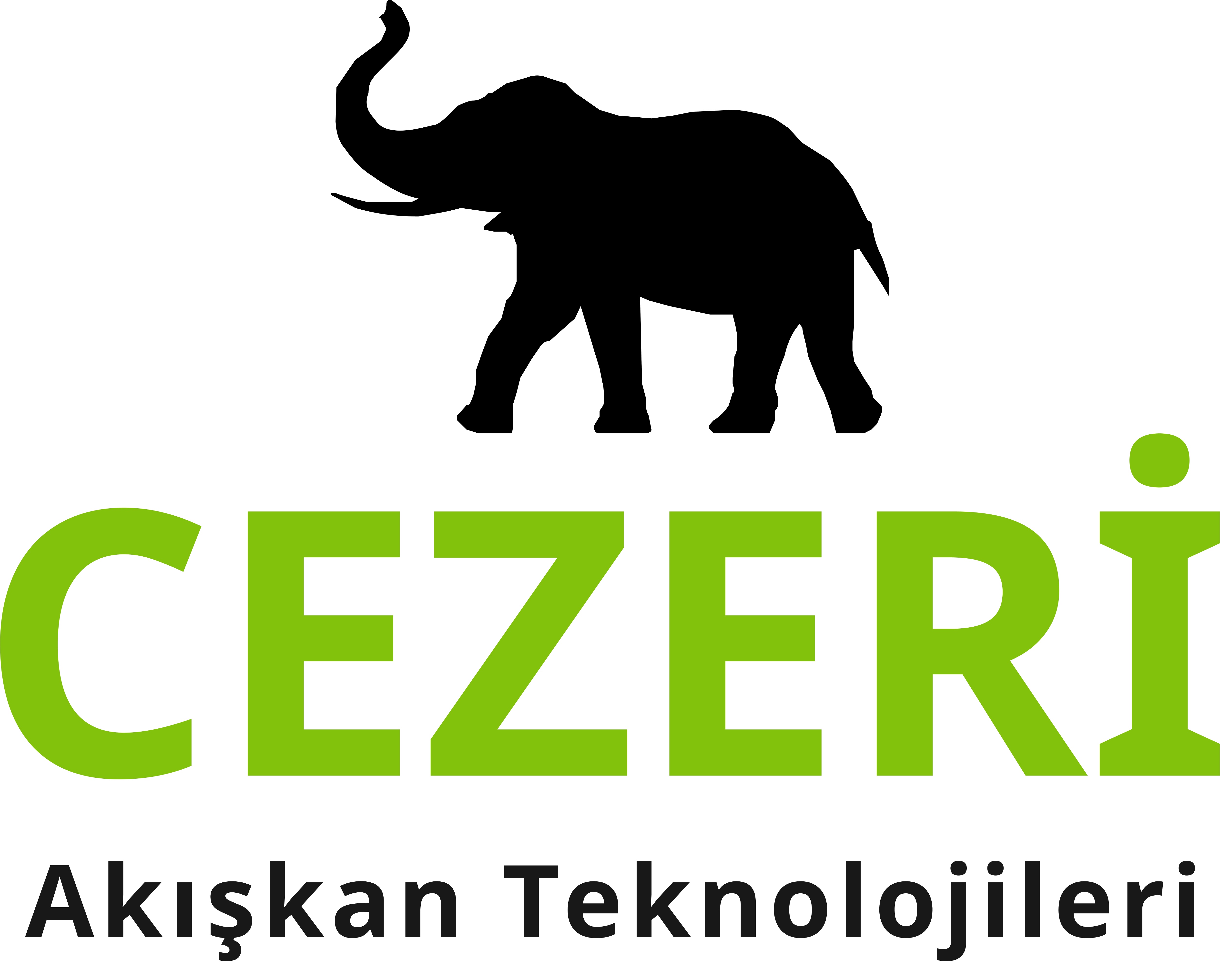 CEZERİ AKIŞKAN TEKNOLOJİLERİ MÜH. SAN. VE TİC. A.Ş