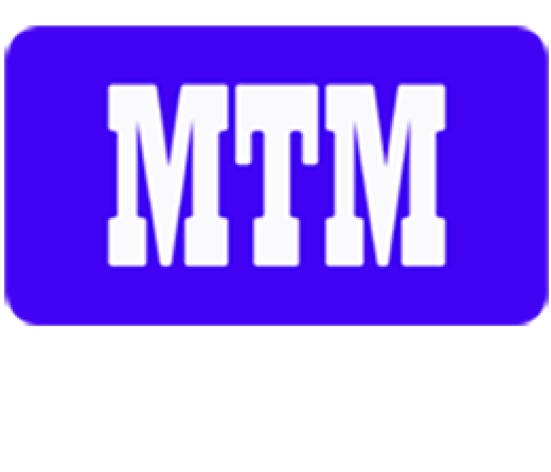 MTM MAKİNA TİC. MÜMESSİLLİK MÜŞAVİRLİK PETROL LOJİSTİK LTD ŞTİ