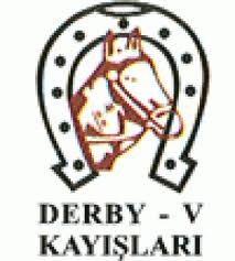 V KAYIŞI LASTİK SAN. LTD. ŞTİ.