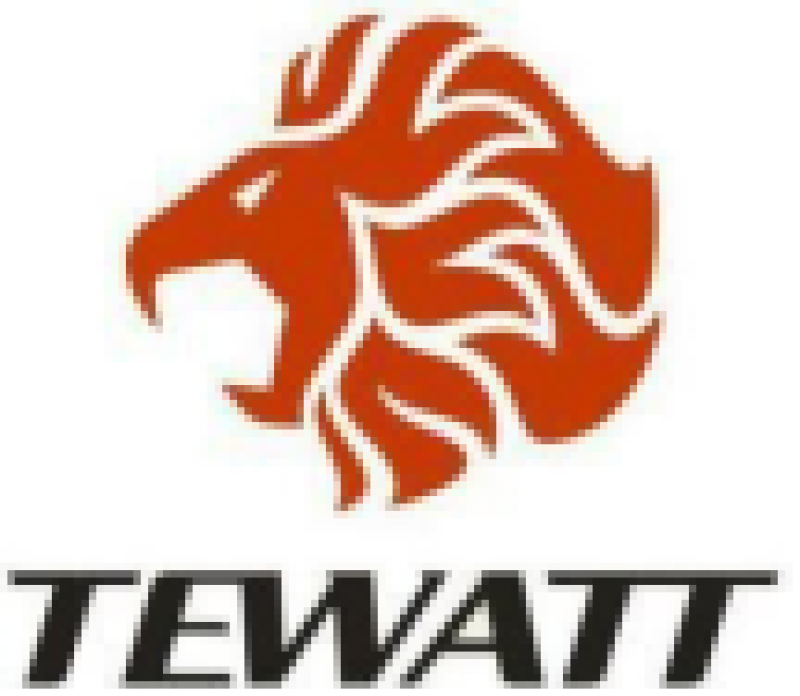 HUBEI TEWEITE POWER TECHNOLOGY CO. LTD