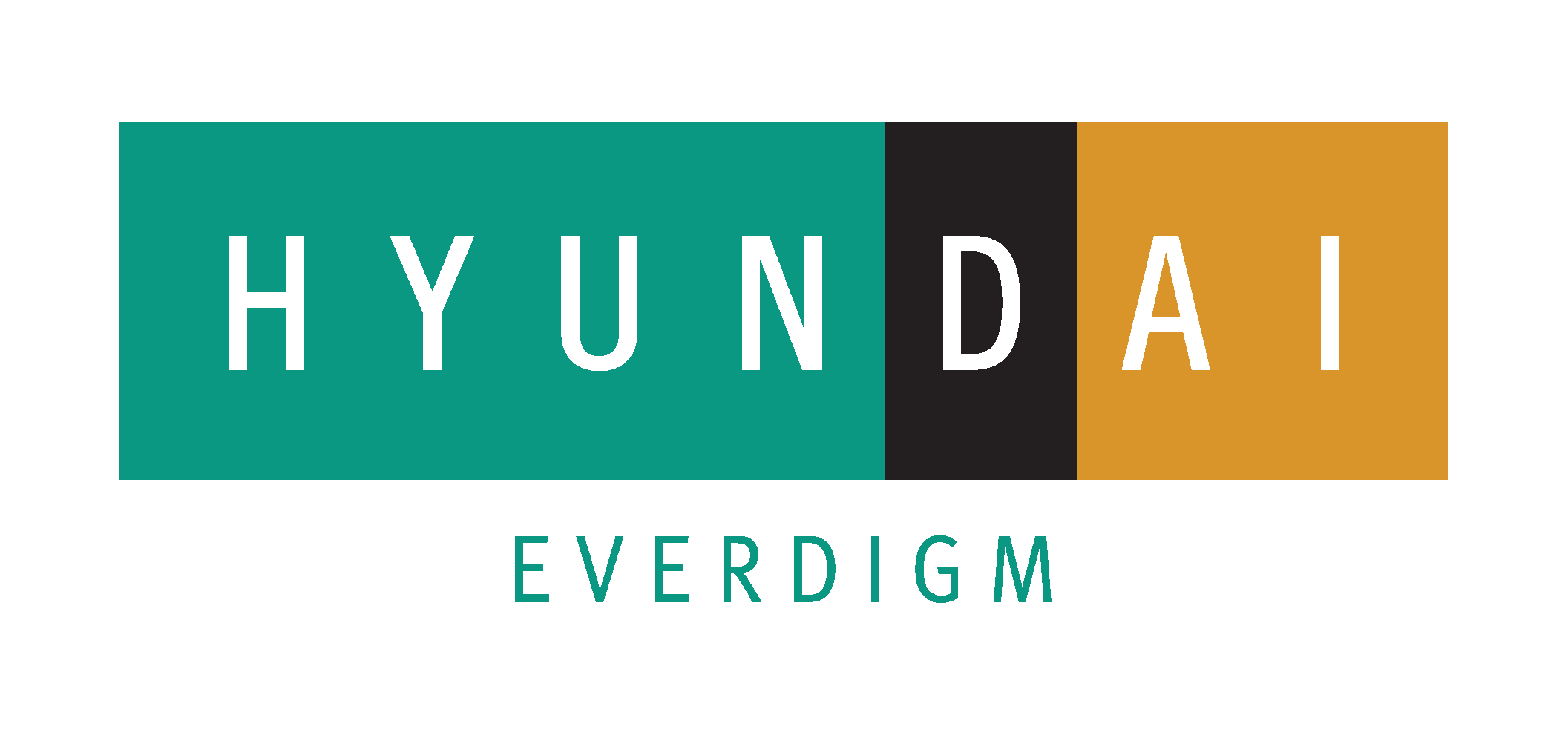 HYUNDAI EVERDIGM