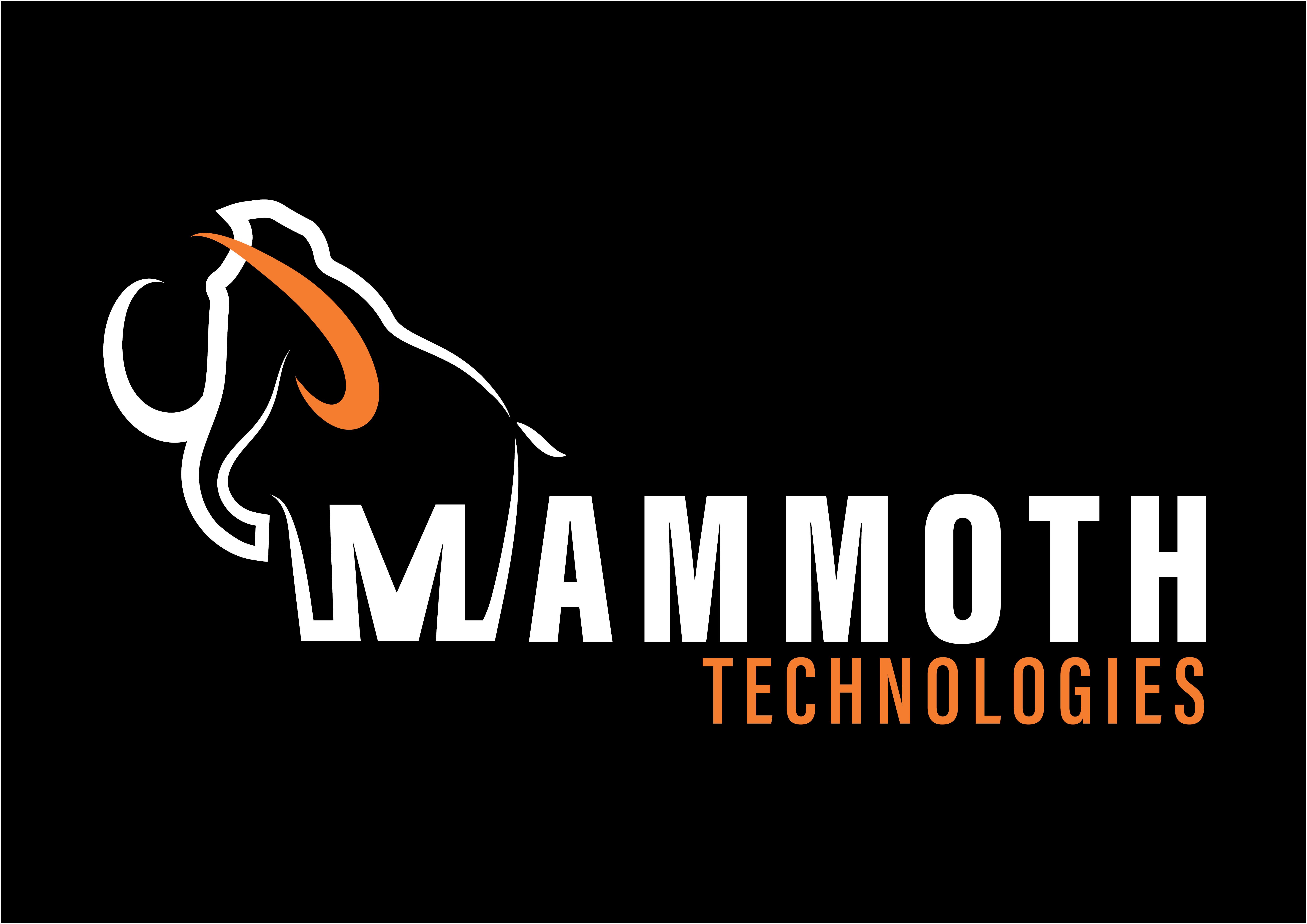 Mammoth Technologies(PTY) Ltd logo