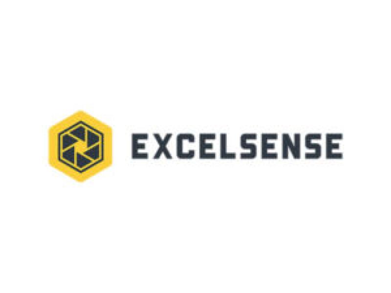 EXCELSENSE logo