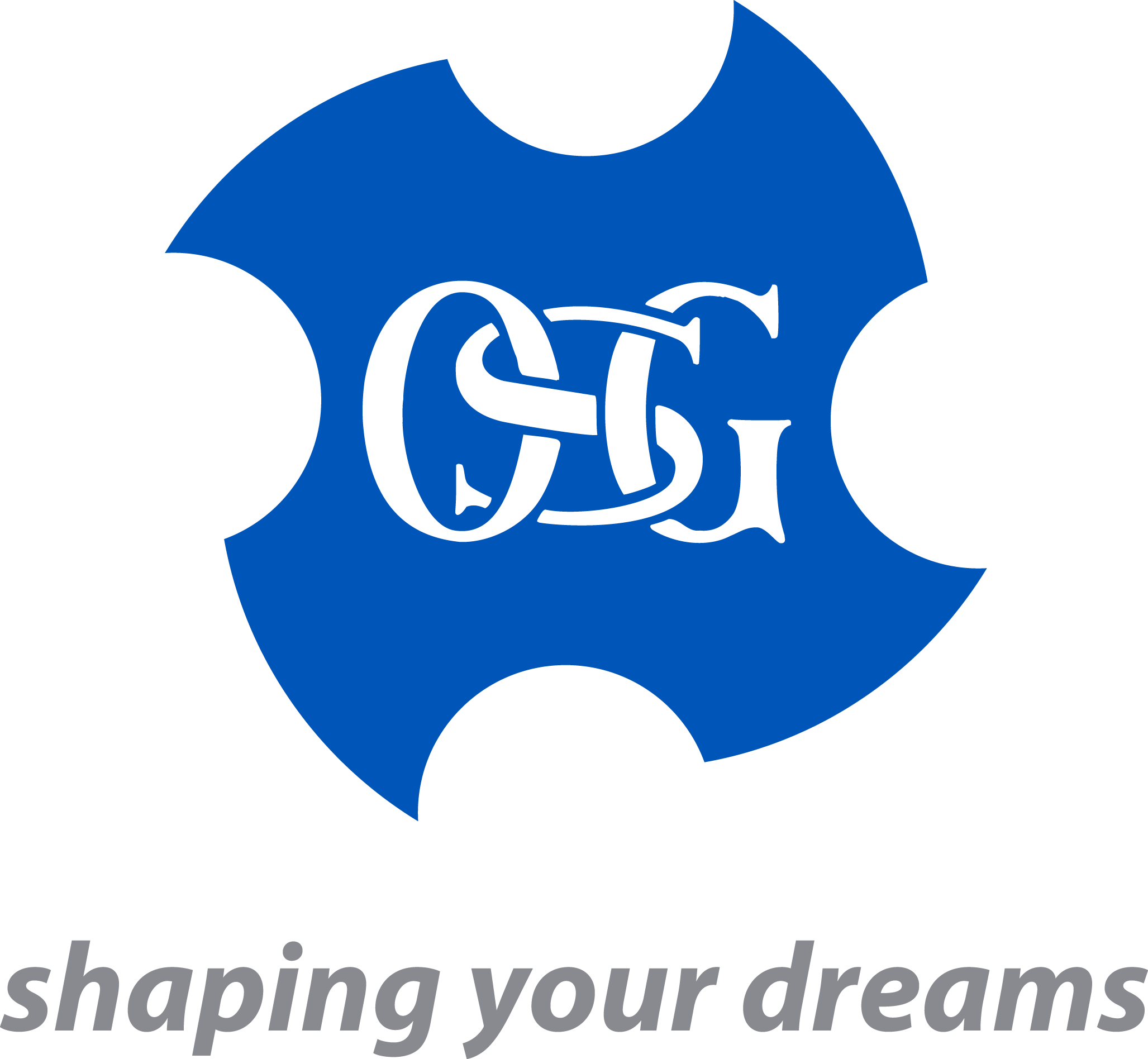 OSG TURKEY KESİCİ TAKIMLAR SAN. İÇ VE DIŞ TİC.A.Ş logo