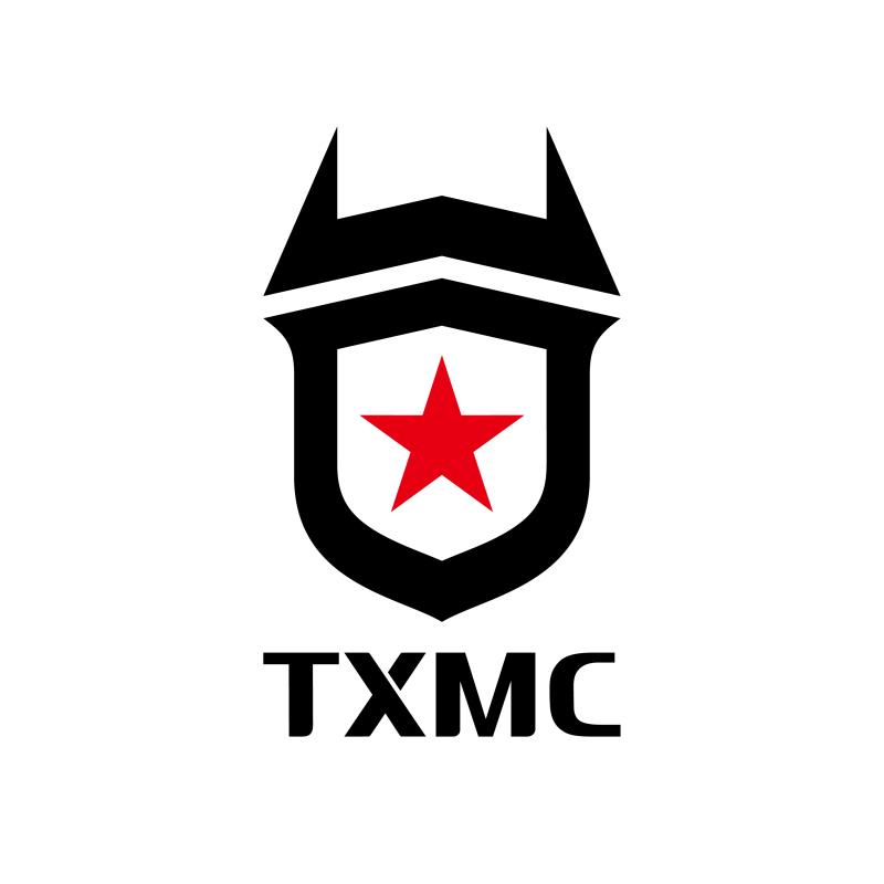 ZHEJIANG TAIXING INTELLIGENT EQUIPMENT CO., LTD. logo