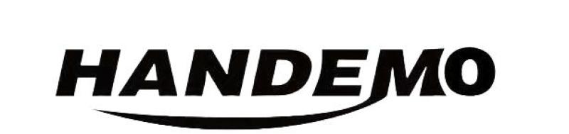 SHANDONG HANDEMO TECHNOLOGY CO., LTD logo