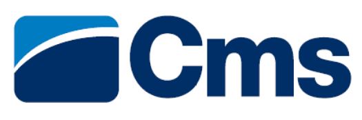 C.M.S. SpA