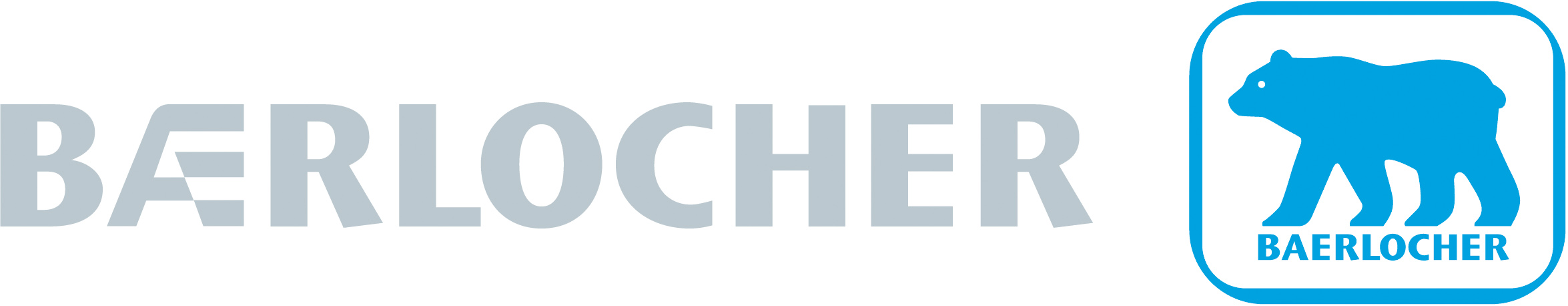 BAERLOCHER KİMYA SAN. TİC. LTD. ŞTİ.