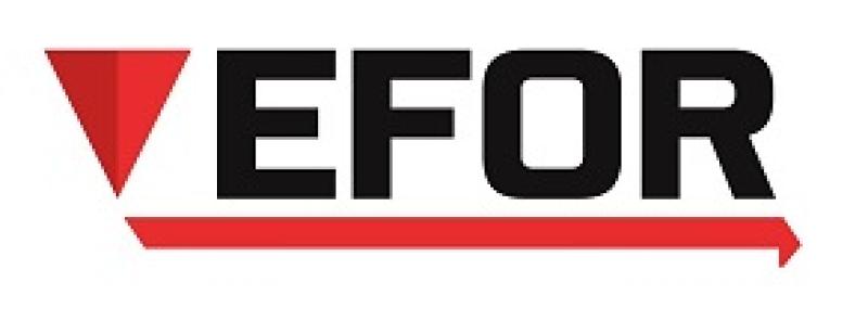 EFOR MÜHENDİSLİK VE MAKİNA SAN TİC LTD ŞTİ logo
