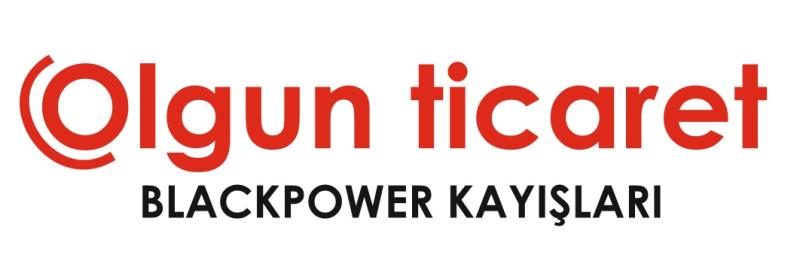 BLACK POWER KAYIŞLARI