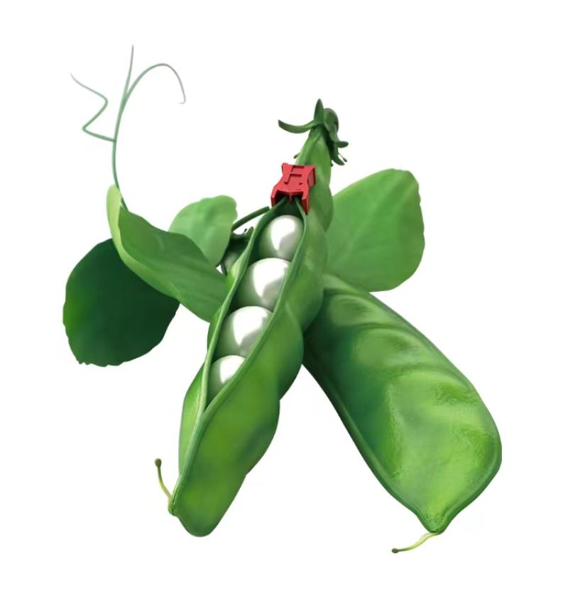 ZHEJIANG XINXIN PACKING MACHINERY CO. LTD.