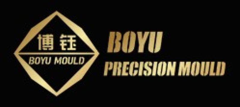 BOYU PRECISION MOULD CO., LTD. logo