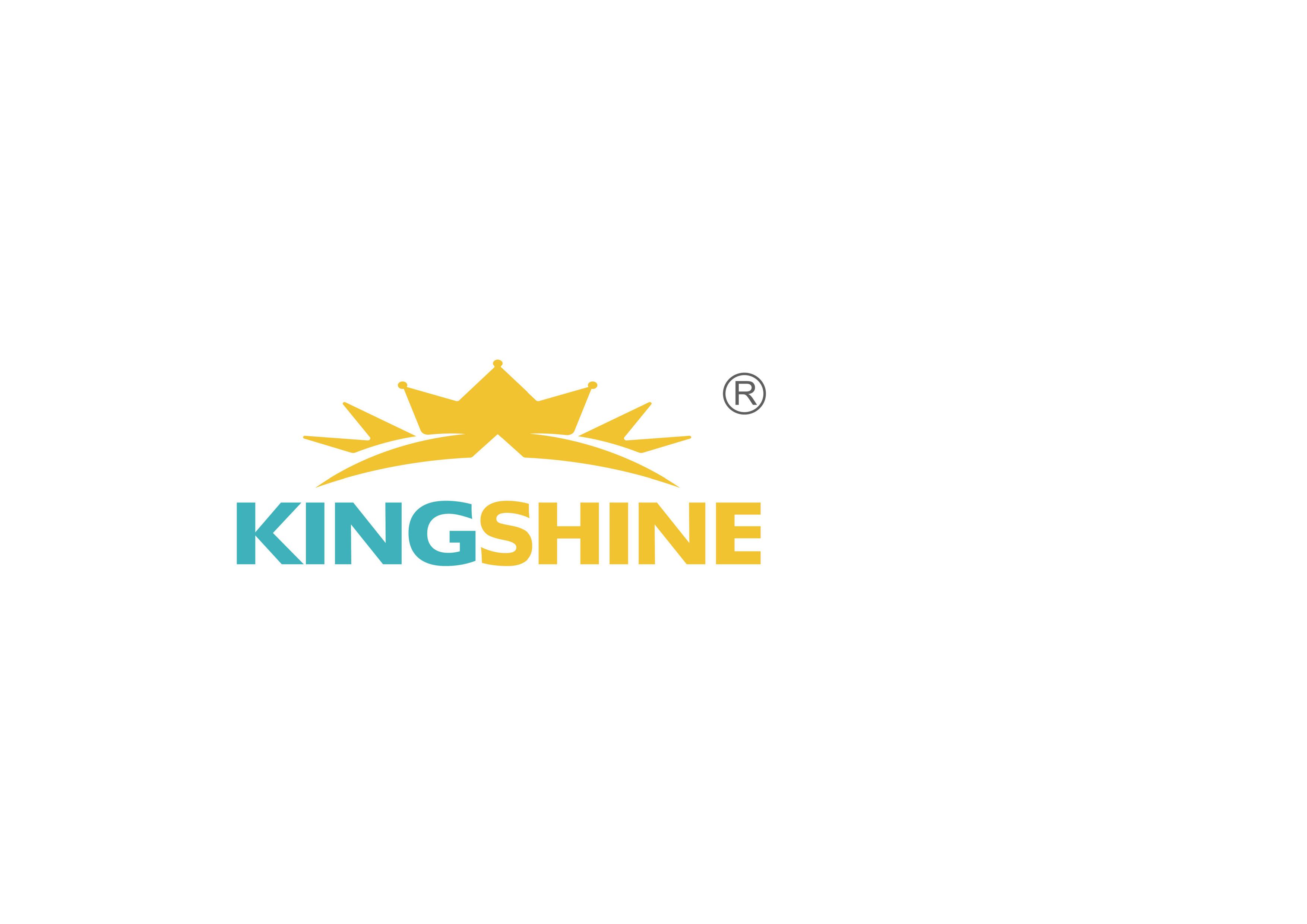 Jiangsu Kingshine Plastic Machine Co.,ltd