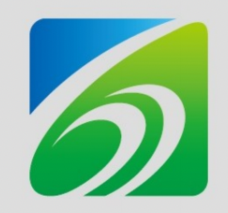 CHINA SHENMA GROUP CO. LTD. - SHENMA INDUSTRIAL CO. LTD. logo