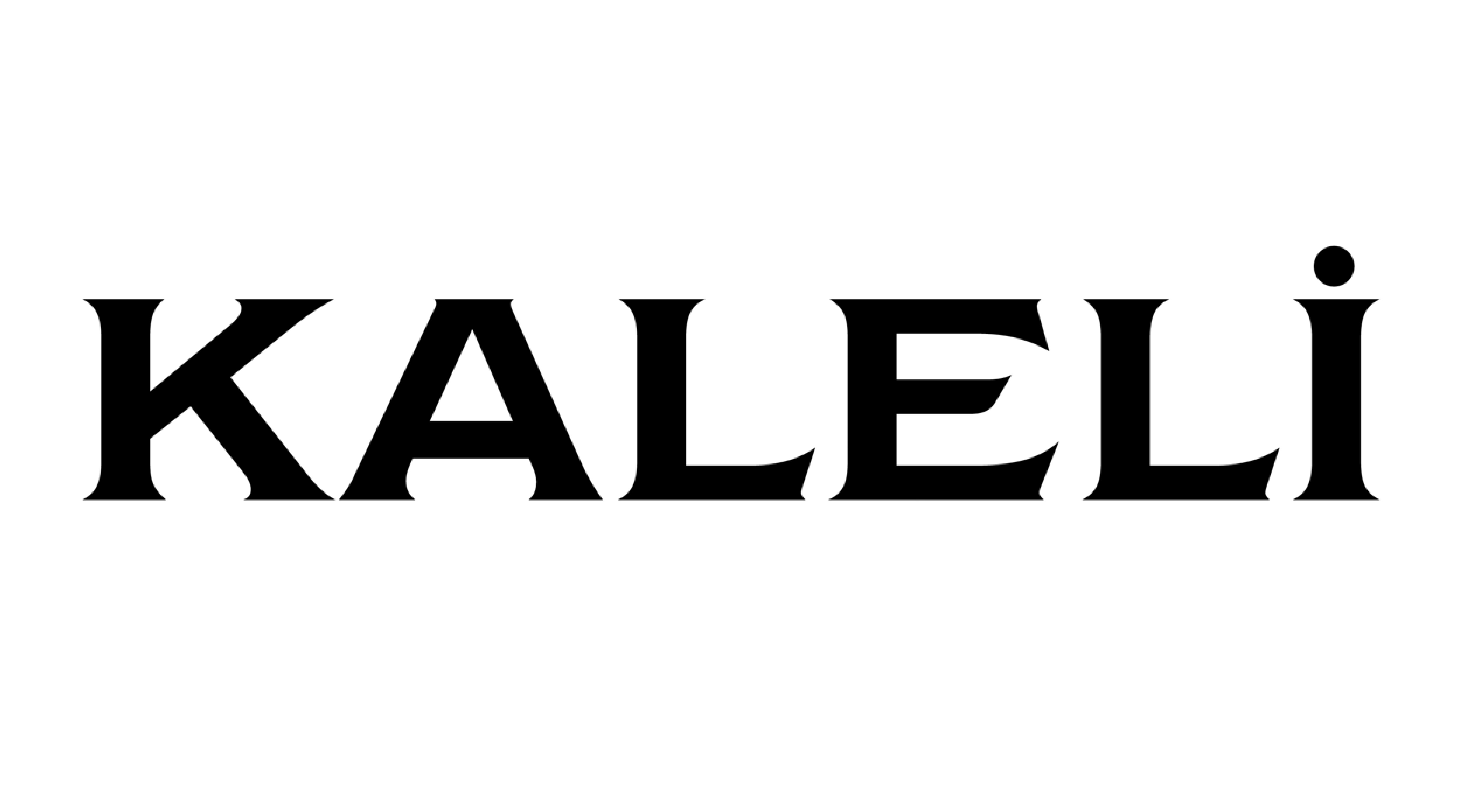 KALELİ ŞAFT VE METAL SANAYİ TİC LTD ŞTİ logo