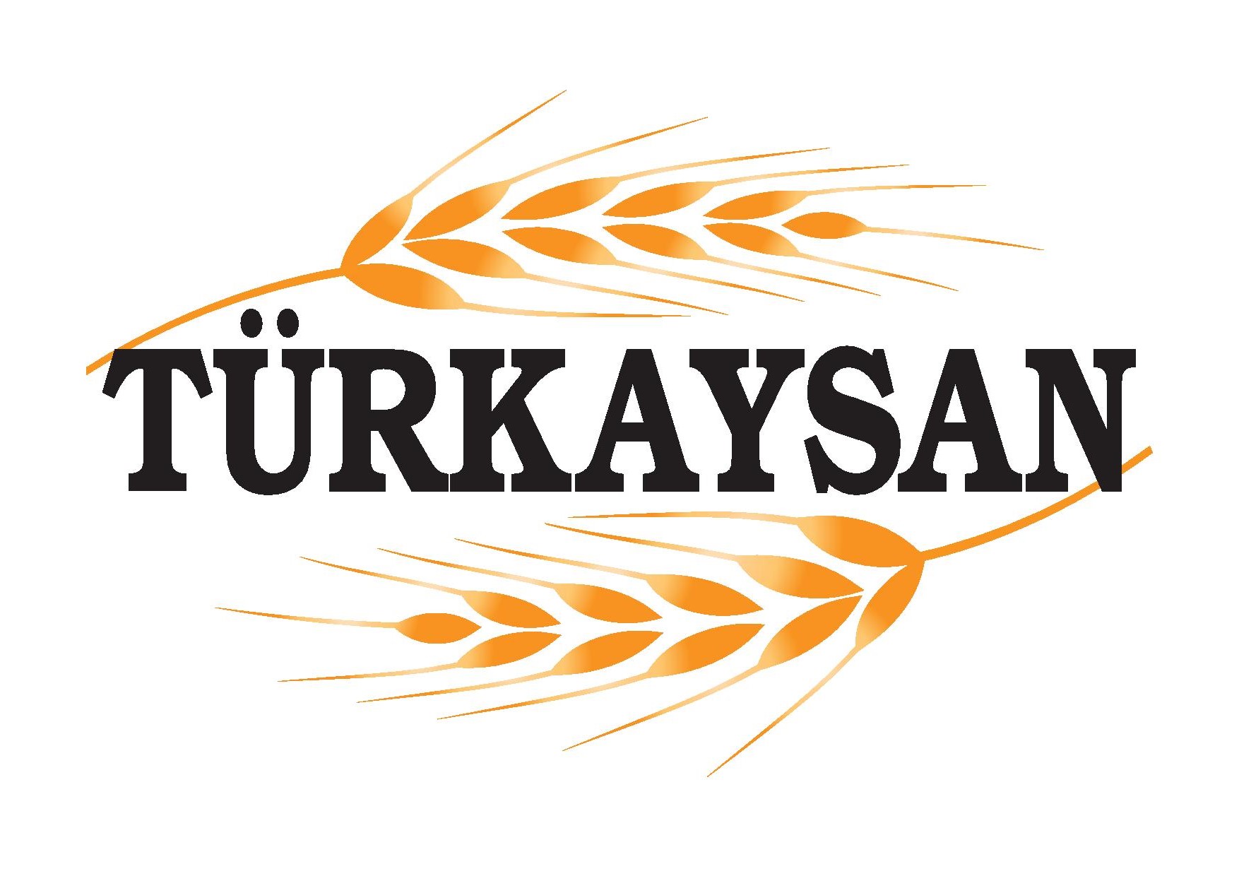 TÜRKAY SAC KESİM KONSTRÜKSİYON MAK. SAN. VE TİC. LTD. ŞTİ. logo