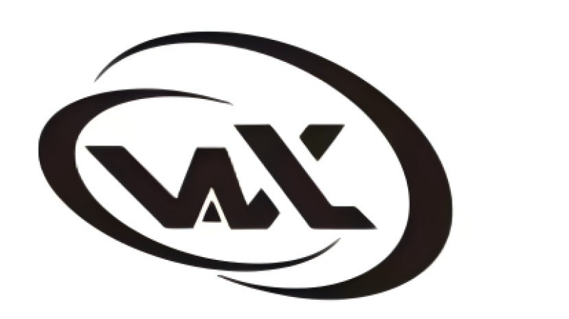 RENQIU WANGXIN TECHNOLOGY CO., LTD.