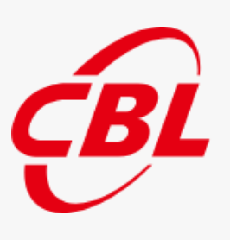 JIASHAN CBL BEARING CO., LTD. logo