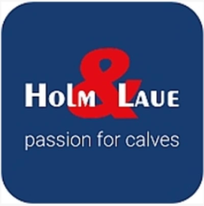 HOLM & LAUE GmbH & Co. KG