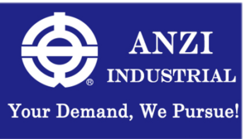 SHANGHAI ANZI INDUSTRIAL CO., LTD logo
