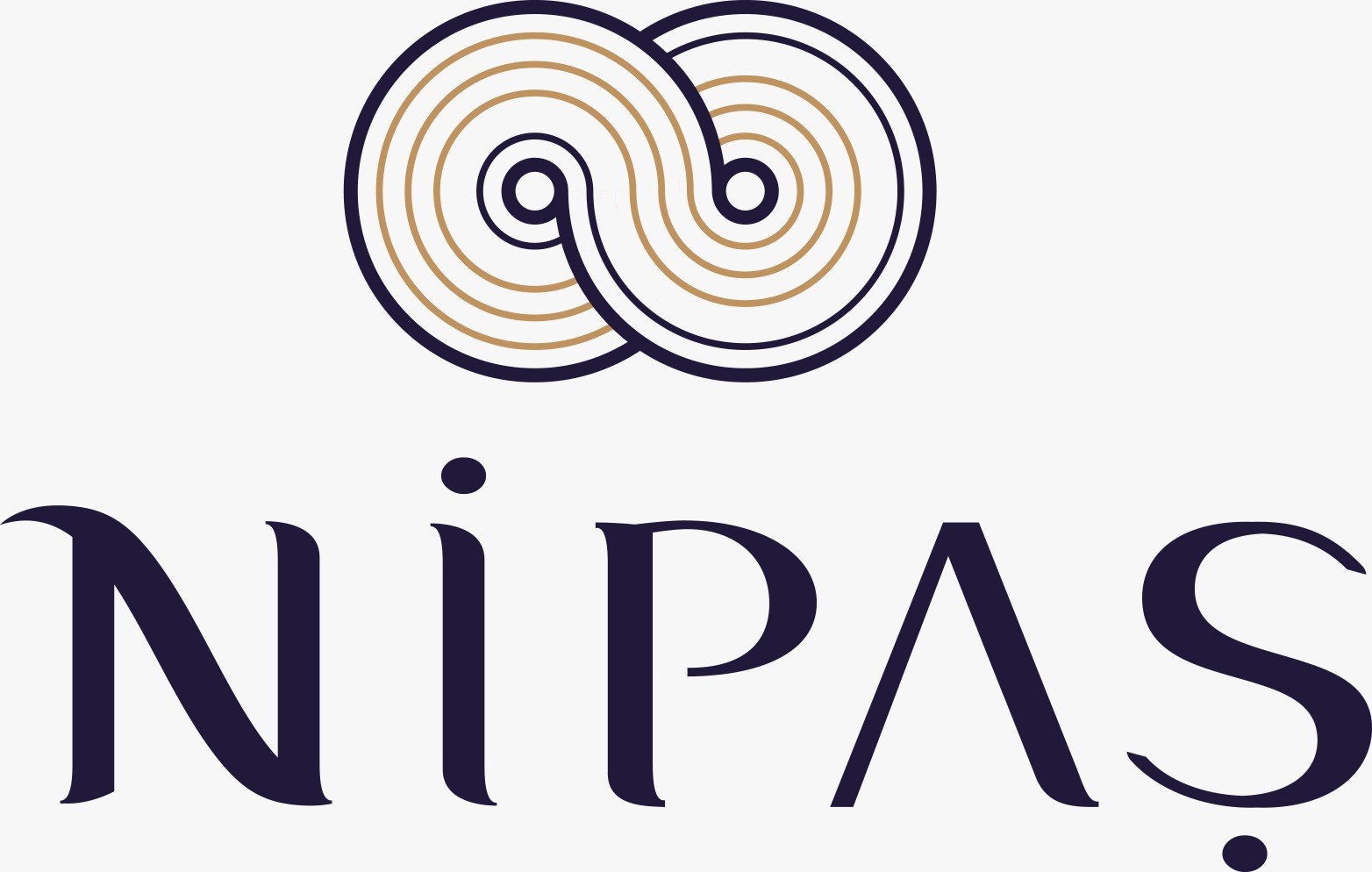 NİPAŞ TEKSTİL SANAYİ VE TİCARET ANONİM ŞİRKETİ