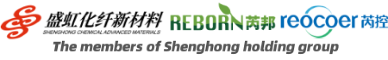 SHENGHONG CORP-GUOWANG HIGH TECH logo