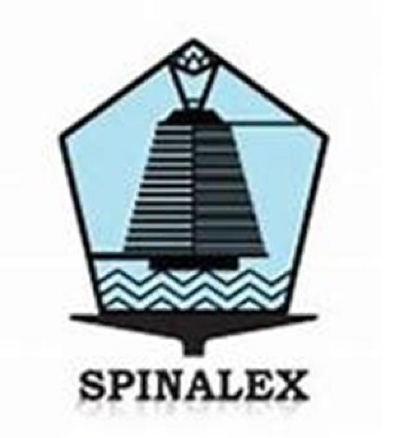 www.spinalex.com
