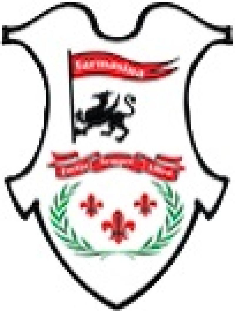 FARMASİNA TIBBİ VE KİMYEVİ ÜRÜN.SAN.VE TİC.LTD.ŞTİ logo