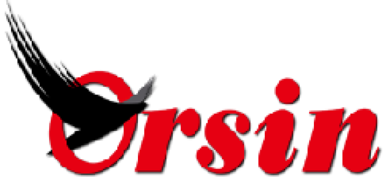 SHANGHAI ORSIN MEDICAL TECHNOLOGY CO.,LTD logo