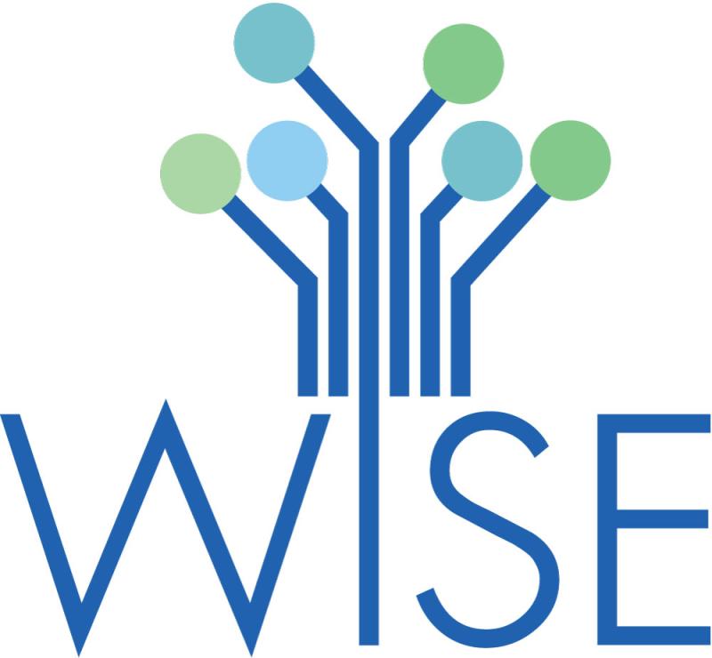WISE spa logo