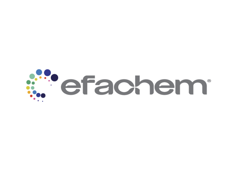 EFACHEM KİMYA ÜRÜNLERİ SANAYİ TİCARET ANONİM ŞİRKETİ