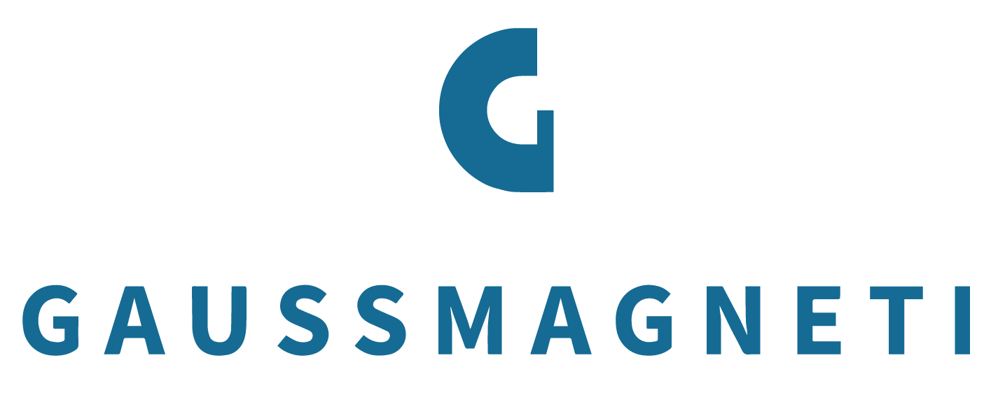 GAUSS MAGNETI logo