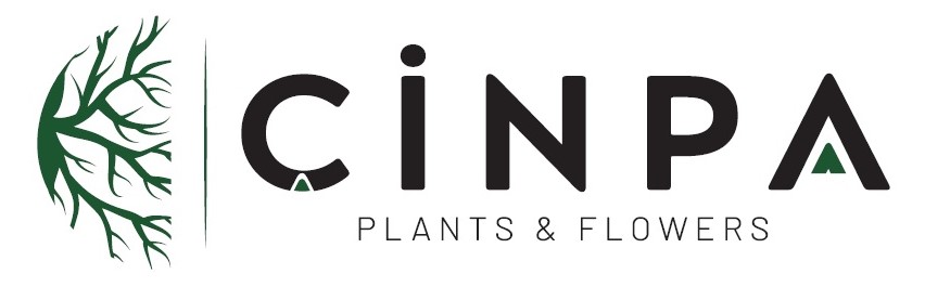 ÇİN-PA İÇ VE DIŞ TİCARET LTD.ŞTİ.