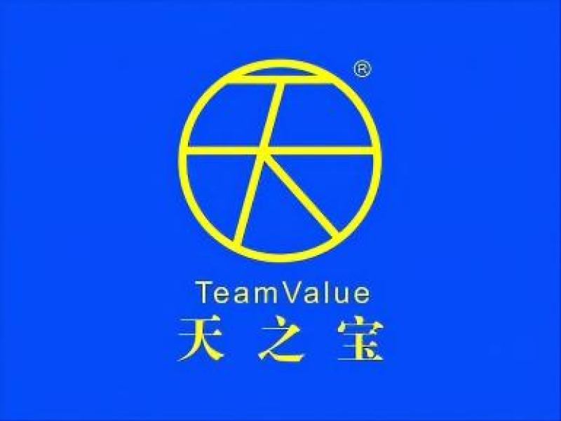 FOSHAN TEAM VALUE DECORATIVE MATERIALS CO LTD logo