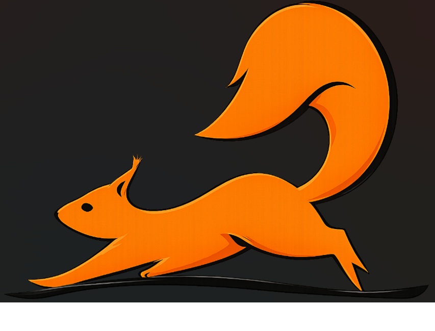 BELKA LLC
