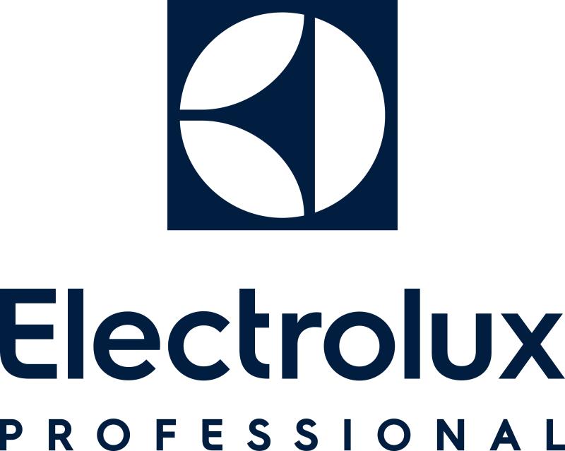 ELECTROLUX PROFESYONEL DAYANIKLI TÜKETİM MAMÜLLERİ SAN. VE TİC. A.Ş. logo