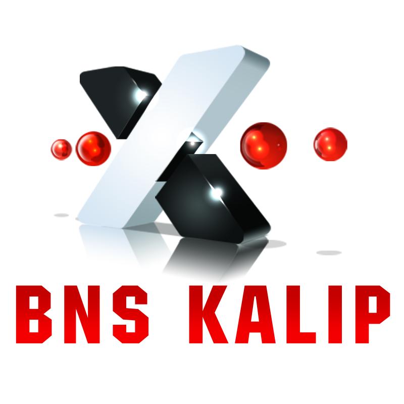 BNS KALIP MAKİNE NAK. İMAL. İHR. İTH. SAN. TİC. LTD. ŞTİ logo