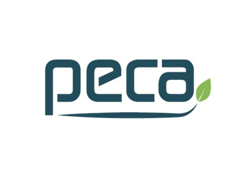 PECA DEKOR PANEL SANAYİ VE TİCARET ANONİM ŞİRKETİ logo