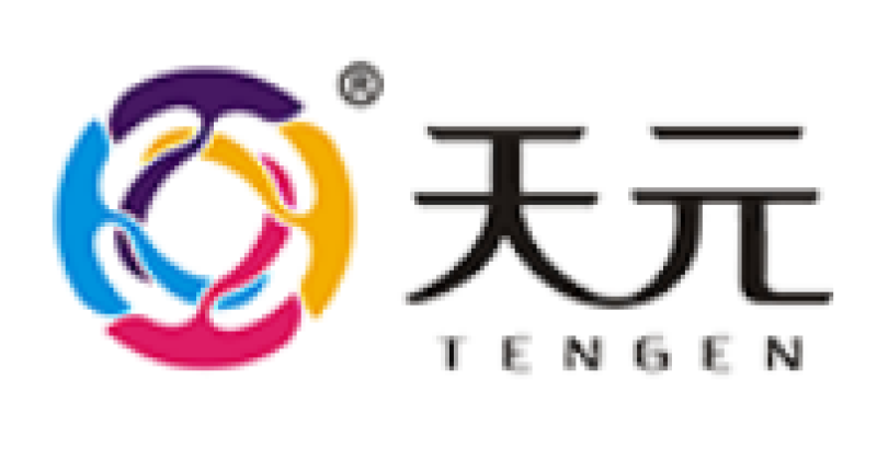 GUANGDONG TENGEN PRINTING CO.,LTD - GUANGDONG TENGEN INDUSTRIAL GROUP CO. LTD.