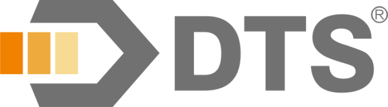 SHANDONG DINGTAISHENG FOOD INDUSTRIAL EQUIPMENT CO. LTD. logo
