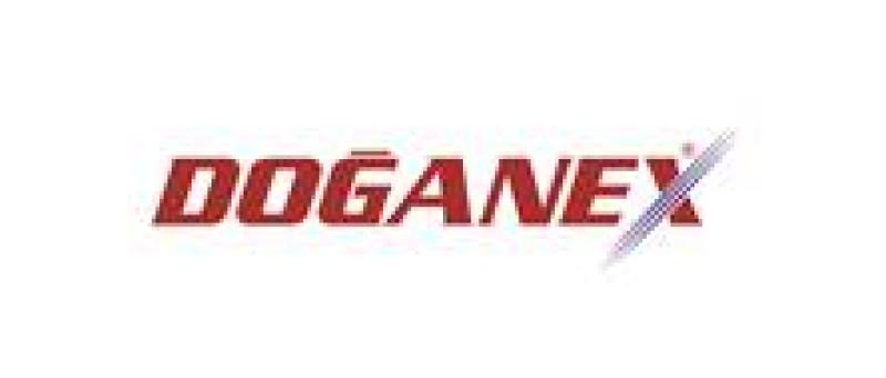 DOĞANEKS KALIP MAKİNA SANAYİ VE TİCARET LİMİTED ŞİRKETİ