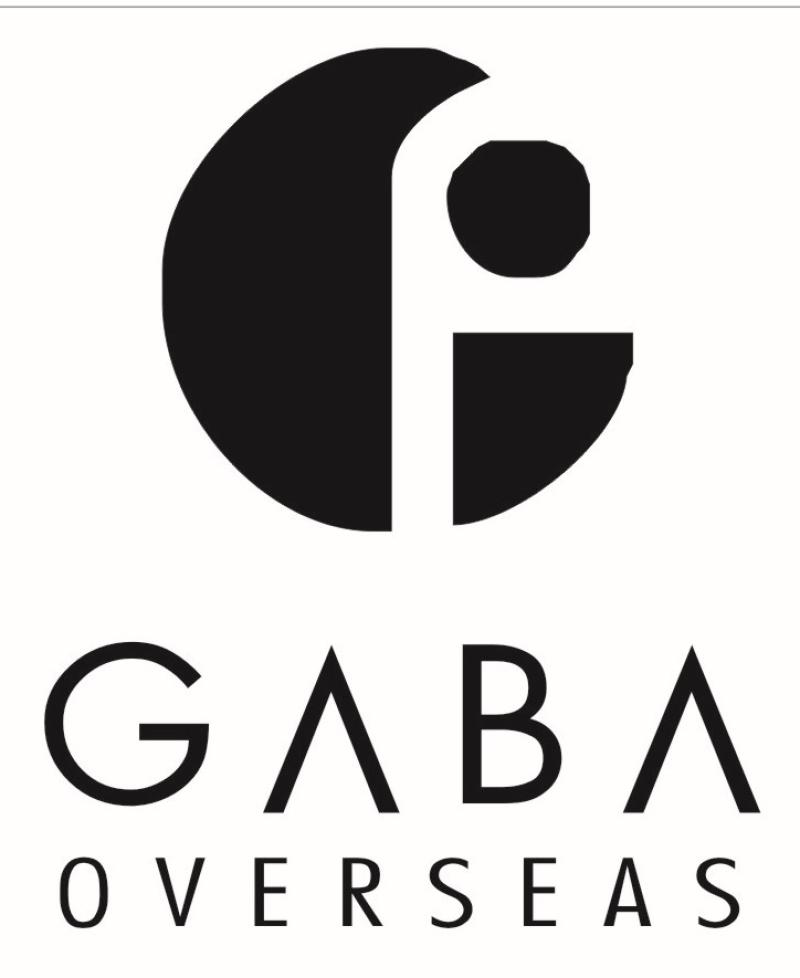 GABA OVERSEAS PVT LTD logo